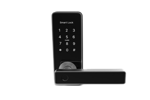 Keyless Entry Locks