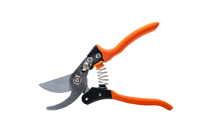 Pruning Shears