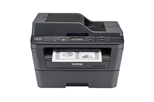 Brother DCP-L2541DW Auto Duplex Laser Printer