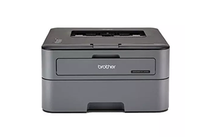 Brother HL-L2321D Automatic Duplex Laser Printer